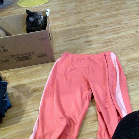 Clothes - Picture 2 of 5